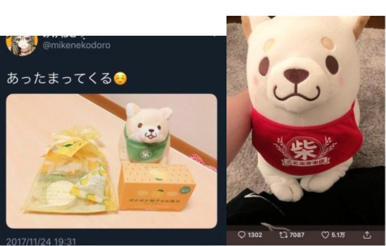 まふまふとみけねこお揃いの犬のぬいぐるみ