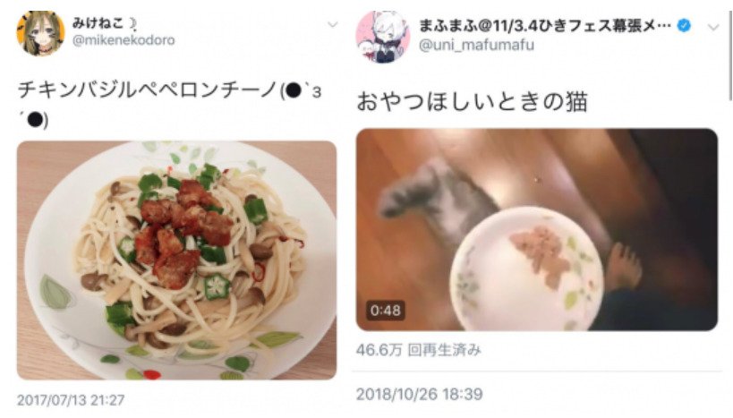 まふまふとみけねこお揃いの皿