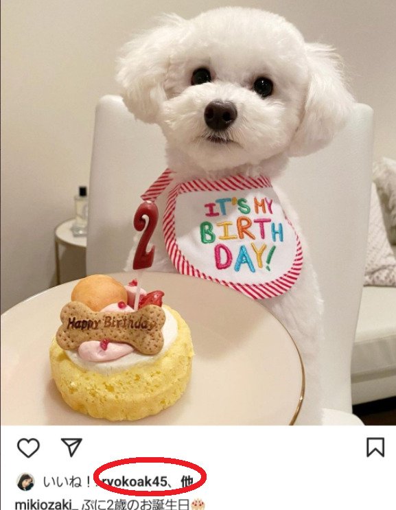 尾崎美紀のインスタにいいねしている秋倉諒子