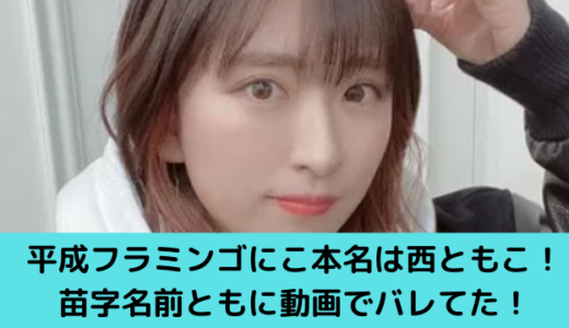 平成フラミンゴにこ本名は西ともこ！苗字名前ともに動画でバレてた！