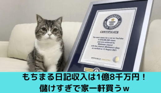 もちまる日記