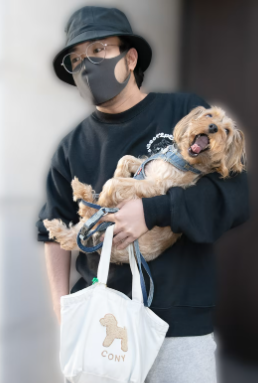 R指定